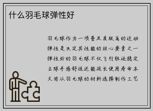 什么羽毛球弹性好